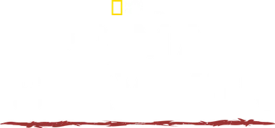 Sopravvivenza Estrema