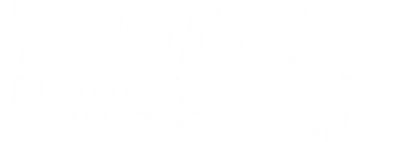 Twins Mission